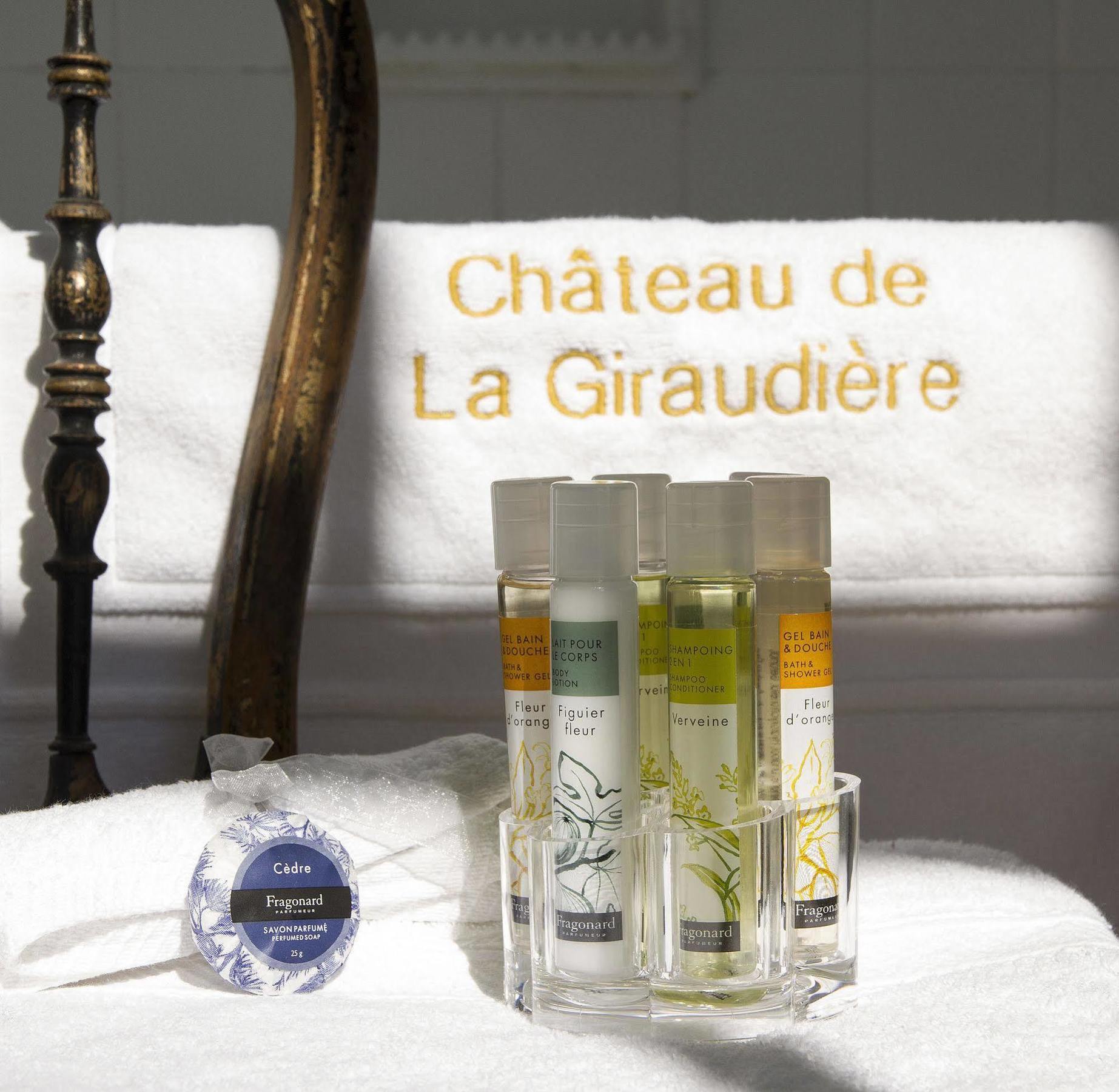 Chateau De La Giraudiere Villeny 외부 사진
